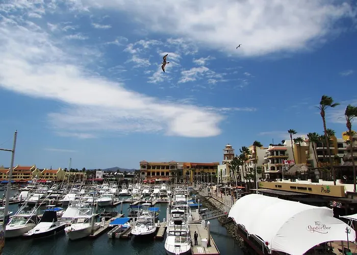 Marina Cabo Plaza Town & *